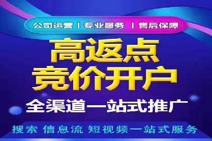 百度广告投放技巧与运营推广策略